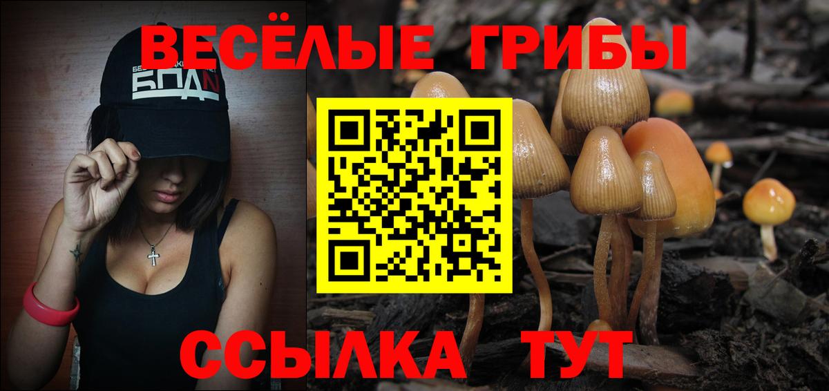 Галлюциногенные грибы MAGIC MUSHROOMS Моршанск