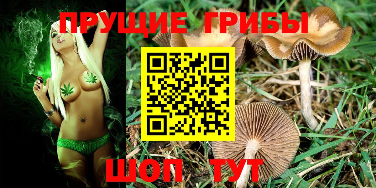Галлюциногенные грибы Cubensis  Вход с VPN  Псилоцибиновые грибы Psilocybe  Моршанск 